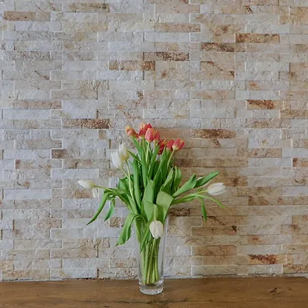 Apartmán Renas Cosy Corfu (city)